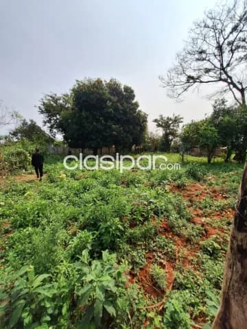 3 Terrenos en Kokue Guasu, Areguá Zona Quinta el Escape - LLA6412961 — foto 4