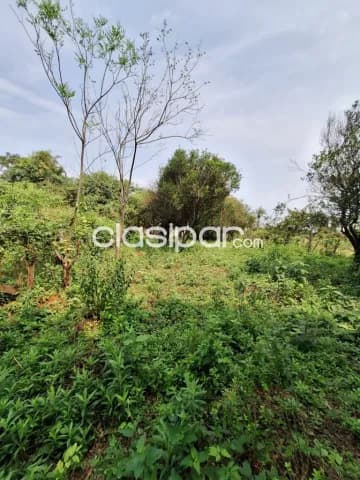 3 Terrenos en Kokue Guasu, Areguá Zona Quinta el Escape - LLA6412961 — foto 5