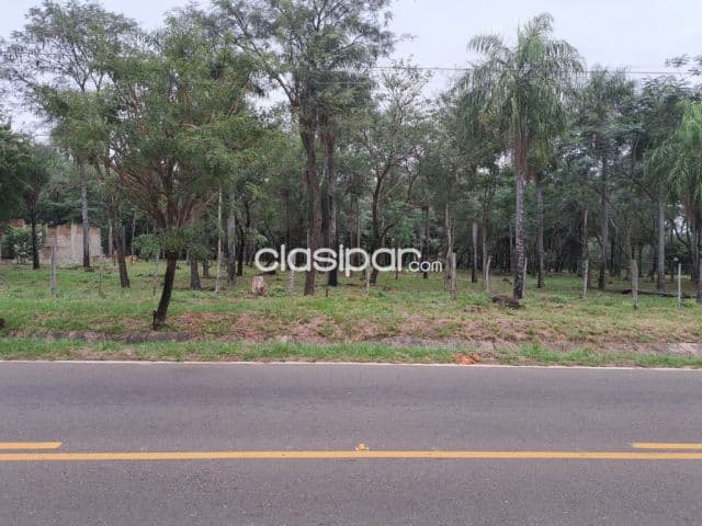 Hermosos terrenos en San Bernardino