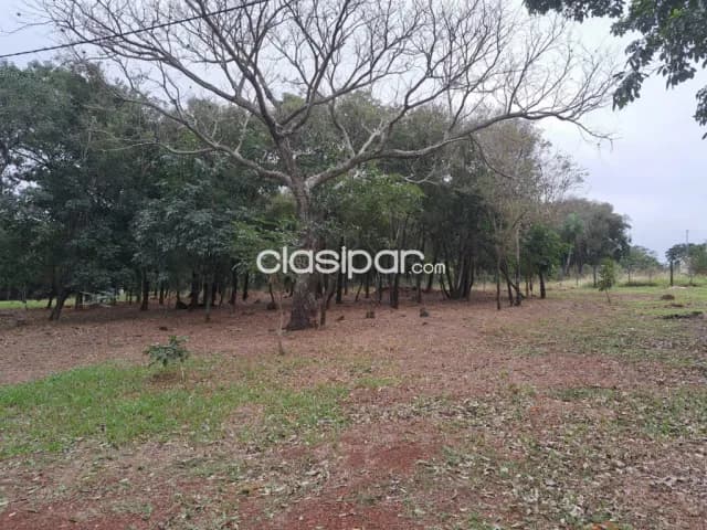 Hermosos terrenos en San Bernardino — foto 5
