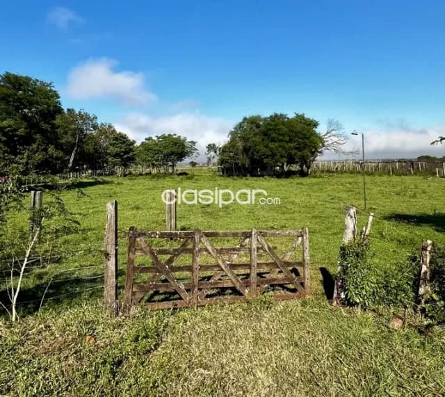 Campo Agrícola/Ganadero en Arroyos y Esteros - 50 Ha, foto 2