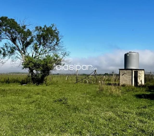 Campo Agrícola/Ganadero en Arroyos y Esteros - 50 Ha, foto 3