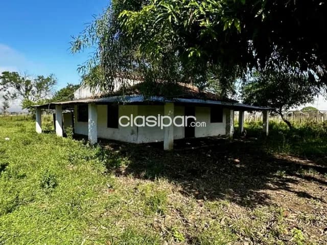 Campo Agrícola/Ganadero en Arroyos y Esteros - 50 Ha, foto 4