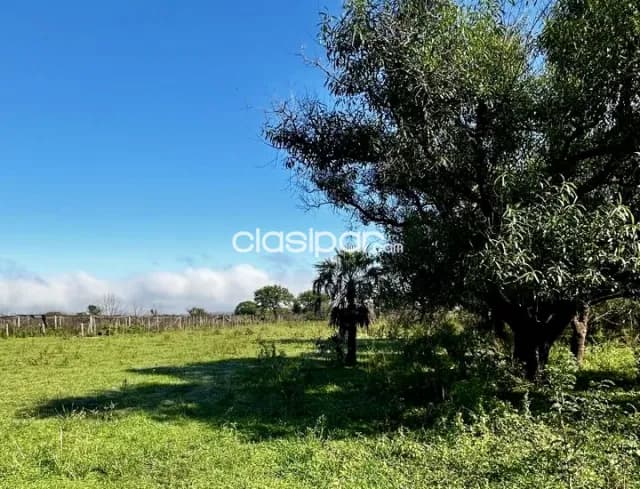 Campo Agrícola/Ganadero en Arroyos y Esteros - 50 Ha, foto 5
