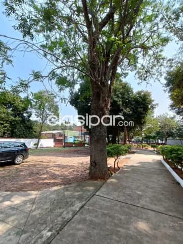 Propiedad de 2 Has sobre Ruta Acceso Sur, Ñemby - LLA6418657, foto 5