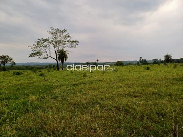 Campo Agrícola/Ganadero en Simon Bolivar - 200 Ha