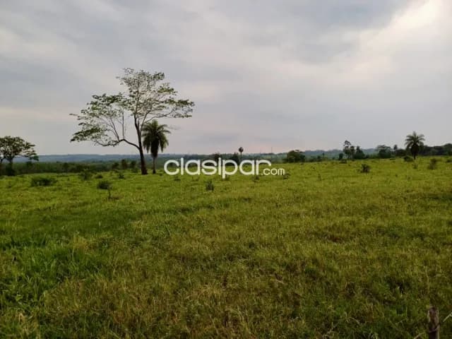 Campo Agrícola/Ganadero en Simon Bolivar - 200 Ha — foto 2