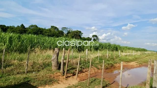 Campo Agrícola/Ganadero en Simon Bolivar - 200 Ha — foto 3