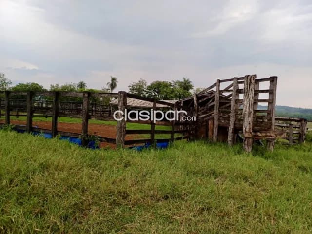 Campo Agrícola/Ganadero en Simon Bolivar - 200 Ha — foto 4