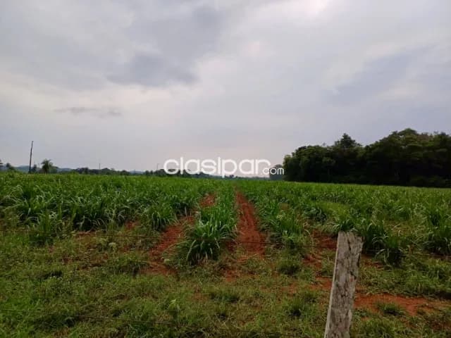 Campo Agrícola/Ganadero en Simon Bolivar - 200 Ha — foto 5