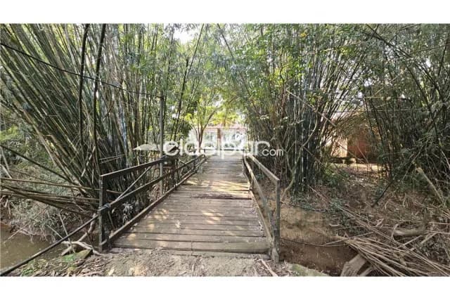 Propiedad de 55 has con 2 casas, arroyo, piscina con filtro, tajamar y generador ele, foto 2