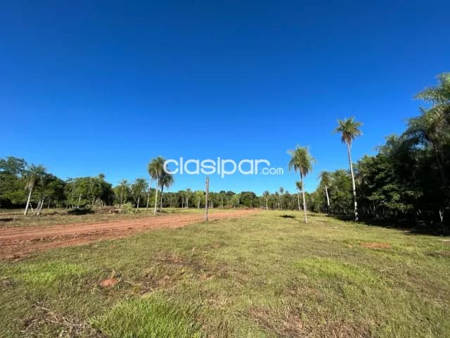 Eusebio Ayala — foto 3