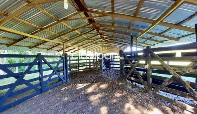 Campo Ganadero en Puerto Trinidad - 50 Ha, foto 1