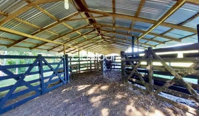 Campo Ganadero en Puerto Trinidad - 50 Ha, foto 2