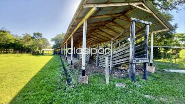 Campo Ganadero en Puerto Trinidad - 50 Ha, foto 4