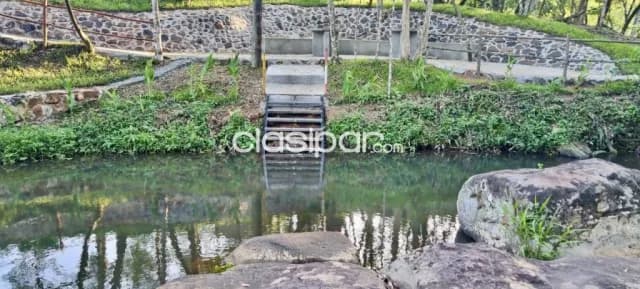 Campo Ganadero en Puerto Trinidad - 50 Ha, foto 5