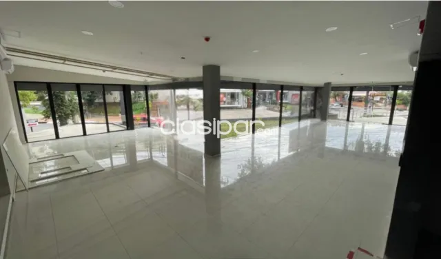 S/ avda. España: 1.200 m2, importante showroom, ventas + oficinas, p/ grandes empresas — foto 3