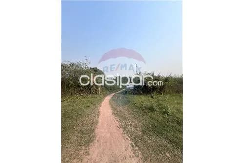 Importante terreno en chacoi ubicado sobre ruta, foto 5