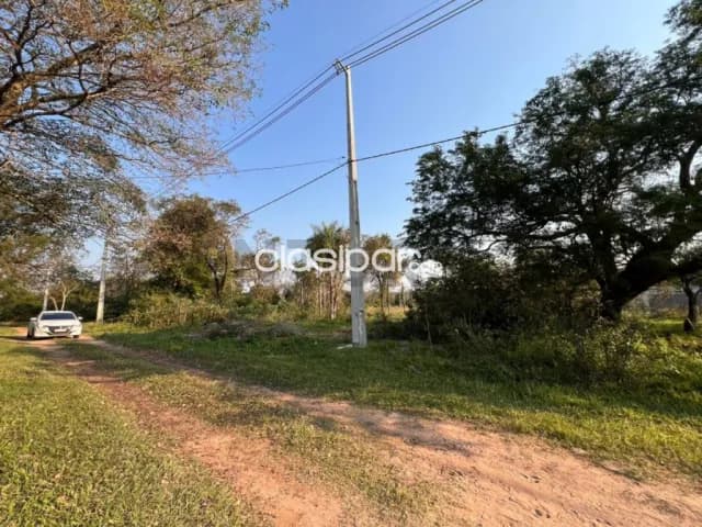 Dos terrenos juntos o separados en San Bernardino - los árboles — foto 3