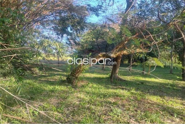 Terreno a 180 mtrs de villeta-nueva italia, cuenta con casa de 2 hab y area de huesp — foto 5