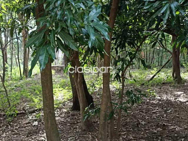 Amplio terreno de 2617m2 en Luque, foto 3