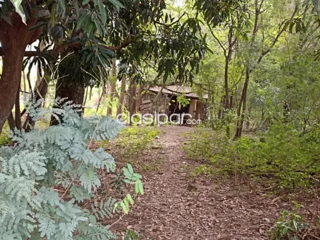 Amplio terreno de 2617m2 en Luque, foto 4
