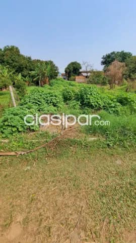 Terreno en Luque — foto 3
