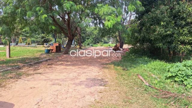 Terreno en Luque — foto 5