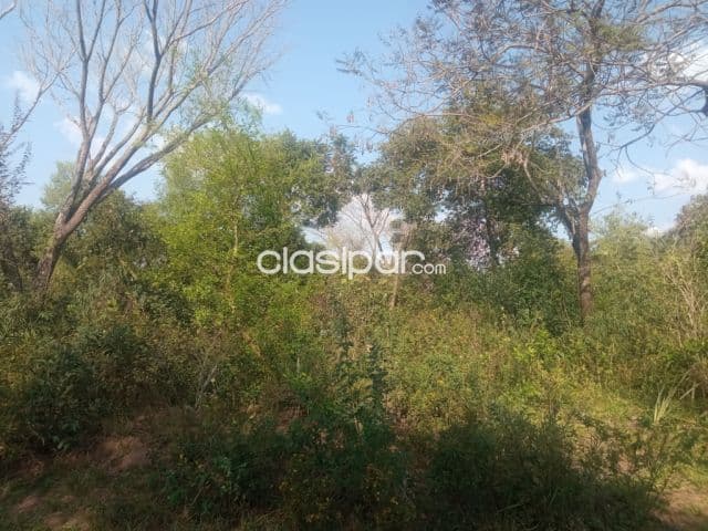 Altos terrenos en esquina, foto 1