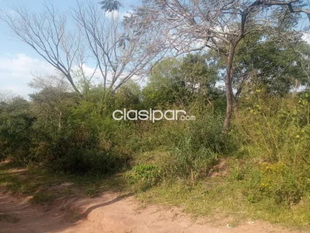 Altos terrenos en esquina, foto 3