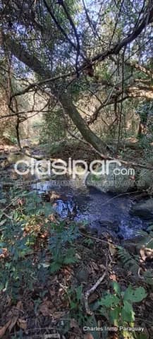 En venta terreno 18 has zona la colmena, foto 2