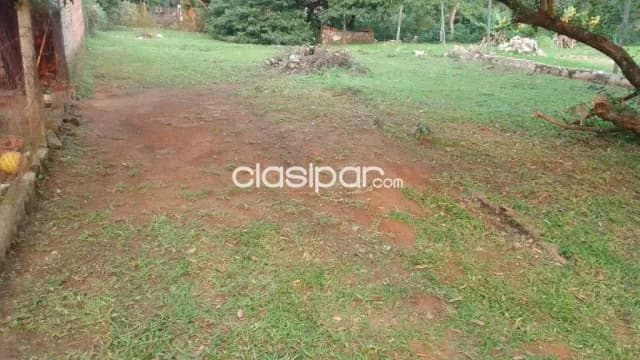 Terreno Luque Vendo pelado, foto 4