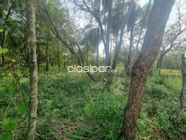 lotes en Luque — foto 4