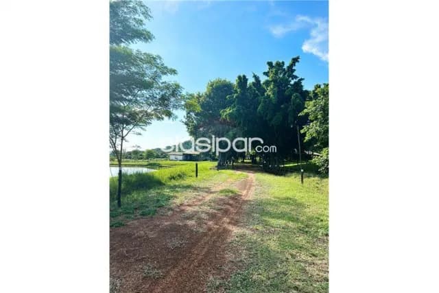 En venta estancia 100 has, foto 4
