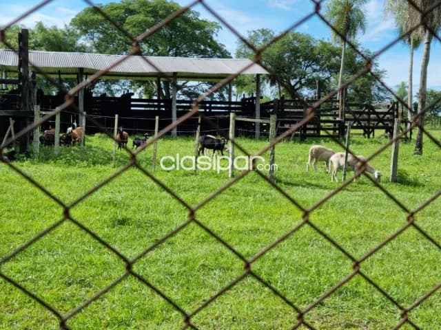 Loma grande - nva colombia: 7.7 has, espectacular casa quinta, arroyos, en super oferta!, foto 3