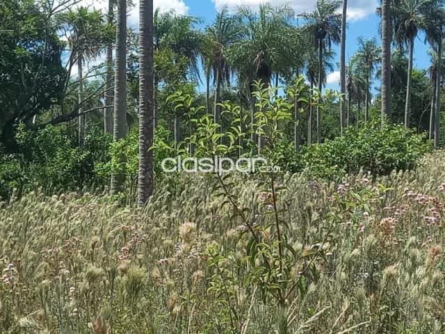 Terreno en Altos con vista al Lago — foto 5