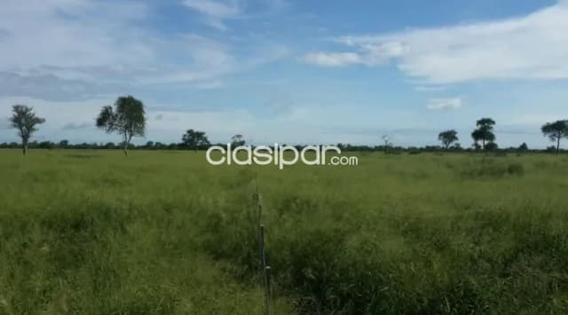 Propiedad de 31.677 Hectáreas en Zona Bahía Negra - CLCS6434659 — foto 2