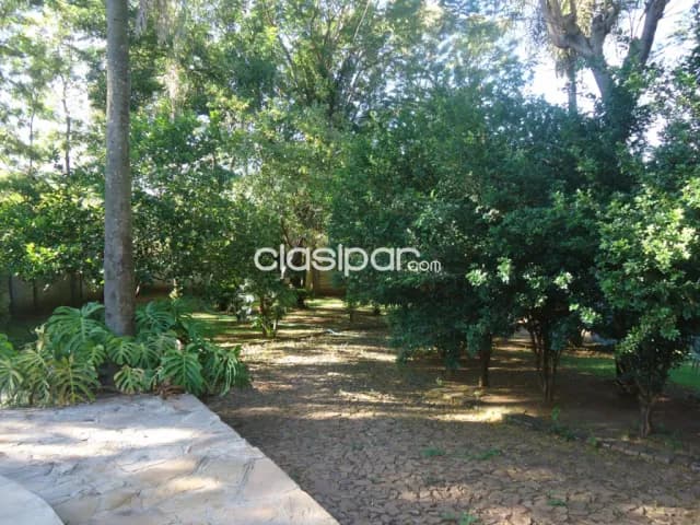 Caacupé: Hermosa casa quinta, naturaleza, relax, 5 dormit, piscina, boques, 200.000 usd — foto 3
