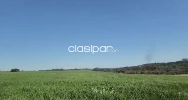 Campo Agrícola Mecanizado en Maria Auxiliadora - 70 Ha — foto 4