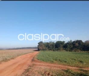 Terreno en caaguazú 209 hectareas