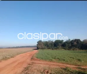 Terreno en caaguazú 209 hectareas — foto 2
