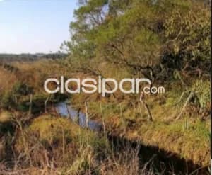 Terreno en caaguazú 209 hectareas — foto 3