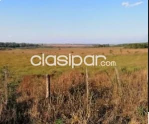Terreno en caaguazú 209 hectareas — foto 4