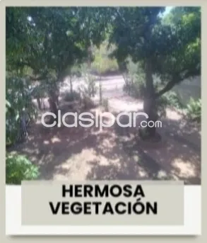 Casa en Luque tercer barrio, foto 4