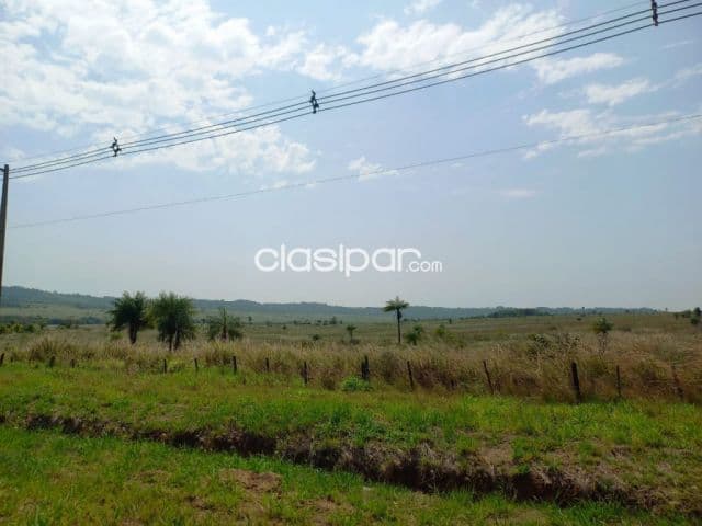 Campo Agrícola/Ganadero en Itacurubi sobre Ruta - 376 Ha