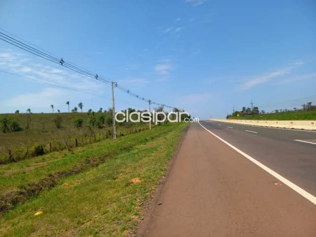 Campo Agrícola/Ganadero en Itacurubi sobre Ruta - 376 Ha — foto 3