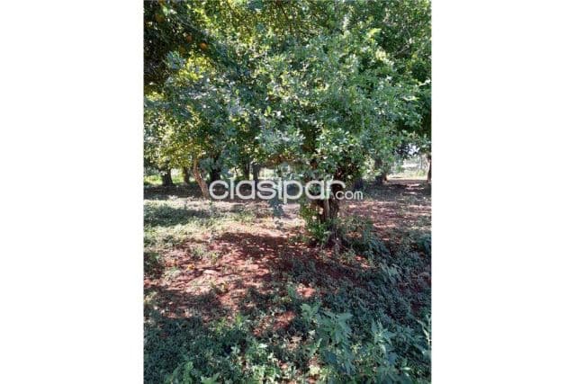 En venta terreno