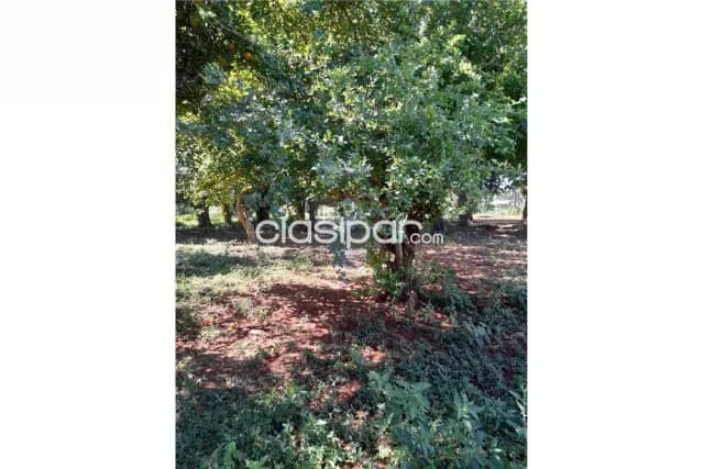 En venta terreno — foto 3