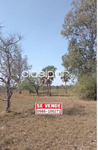 Atencion inversionistas, foto 1