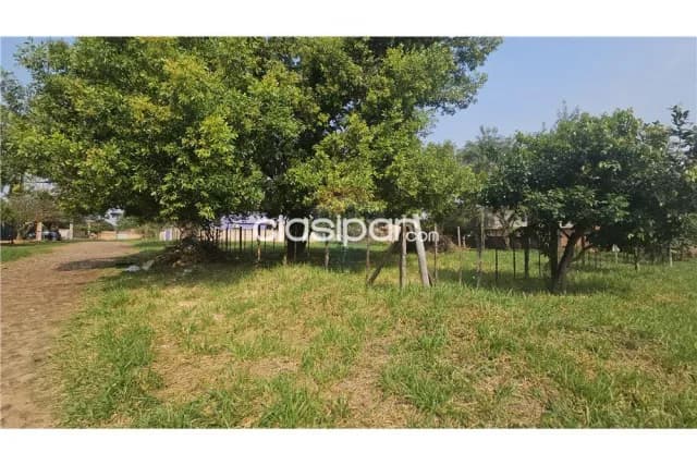 Ideal para inversión terrenos en Luque laurelty — foto 5